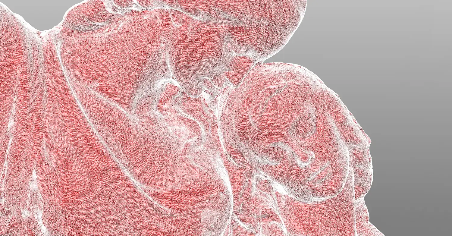 3D sken sochy – polygonová síť